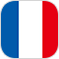 French Translation Support